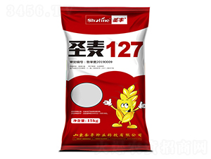 ʥ��127-С���N��-ʥ�S�N�I(y��)