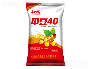 �ж�40-�󶹷N��-ʥ�S�N�I(y��)