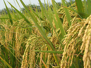 �G����(y��u)8648-ˮ���N��-�зN���F(tu��n)