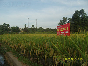 ��2��(y��u)308-ˮ���N��-�зN���F