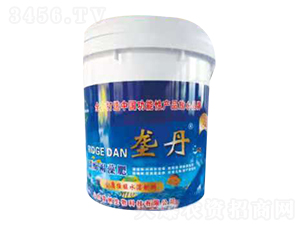 �ŵ�̼ø�����-�׼{����