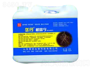 �ŵ�������-�׼{����