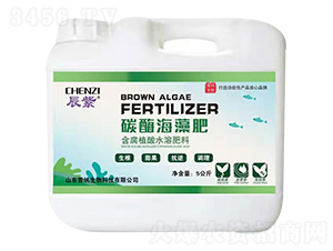 ����̼ø�����-�׼{����