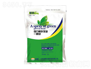 �����S�~����һ���G-�������