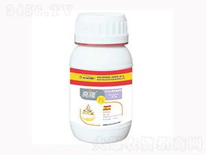 ��¡�}-¡�ꠖ