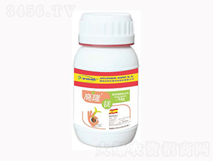 ��¡�V-¡�ꠖ