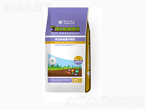 ���w�����������{(di��o)�턩-¡��?du��)? style=