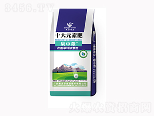 ����΢ʮ��Ԫ�ط�-¡�ꠖ