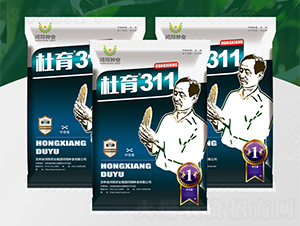 ����311-���׷N��-����N�I(y��)