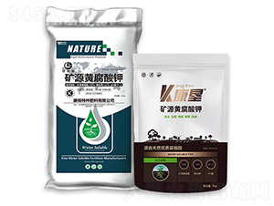 �VԴ�S�����-����-�����طN����