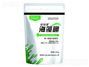 ������-�����طN����