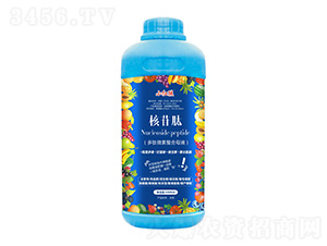 �����-С�t��-�f(w��n)���r(n��ng)��