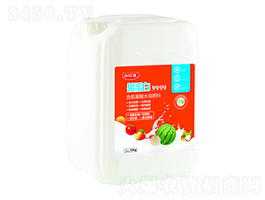 ������9999-С�t��-�f(w��n)���r(n��ng)��