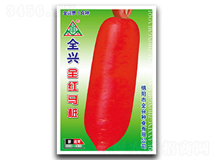 ȫ�t�R��-�L�tƤ�}���N��-ȫ�d�N�I(y��)