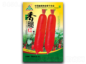 ���t-�L�tƤ�}���N��-ȫ�d�N�I(y��)