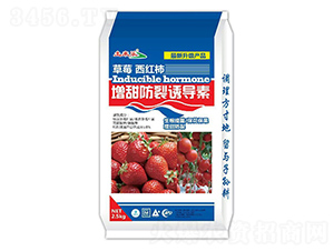 ��ݮ���t����������T��(d��o)��-����(l��i)��(l��)