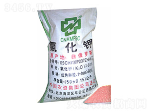 �Ȼ��-���r(n��ng)�r(n��ng)�Y