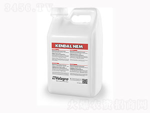 ���x(ch��ng)���߄�-��ʿ�r(n��ng)�I(y��)