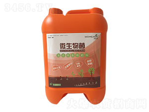 ΢�����-���_(d��)��