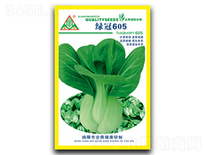 �G��605-�๣�˷N��-ȫ�d�N�I(y��)