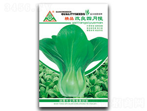 ����������-�๣�˷N��-ȫ�d�N�I(y��)