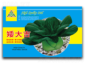 ����-�๣�˷N��-ȫ�d�N�I(y��)