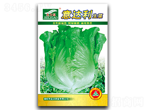 ���_(d��)������-���˷N��-ȫ�d�N�I(y��)