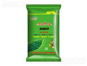 �����S��ֲ���-�ļ����B(t��i)