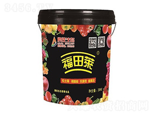 �����R-�ļ����B(t��i)