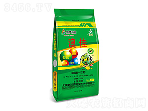 ��ֲ��һ�η�26-10-12+TE-�ļ����B(t��i)