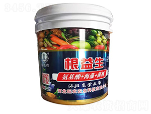 ������+����+����-������-���r(n��ng)�r(n��ng)�I(y��)