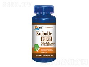 �Ǵ���-�������