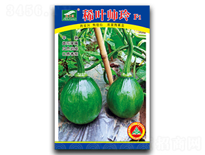 ϡ�~����-С��ϷN��-ȫ�d�N�I(y��)