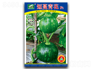 �����໨-С��ϷN��-ȫ�d�N�I(y��)