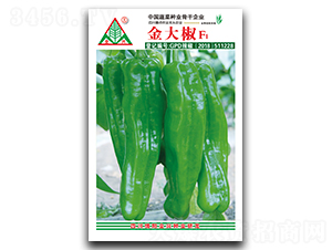 ���-�˽��N��-ȫ�d�N�I(y��)