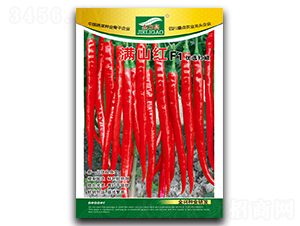 �Mɽ�t-�����N��-ȫ�d�N�I(y��)