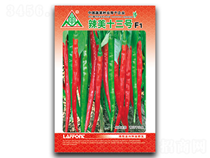 ����ʮ��̖(h��o)-�����N��-ȫ�d�N�I(y��)