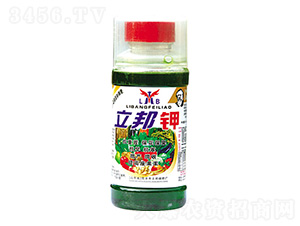 �����-��������