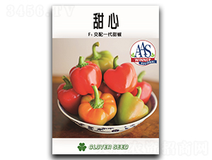 ����-�𽷷N��-���ڷN��