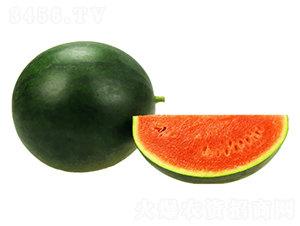 ���B(ni��o)-���ϷN��-���ڷN��