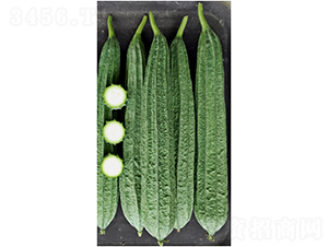 �A��-�z�ϷN��-���ڷN��