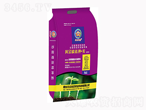 �S��̼�����-�A��