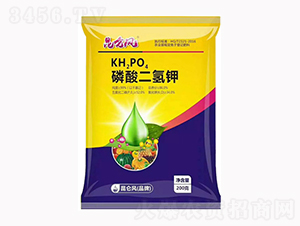 �߼���������-�����_