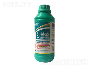 �|̦��-�����_