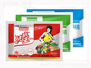 ׷�ʾ�-ֲ������(zh��n)��-�����_