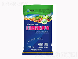 �������⛌�-�����_