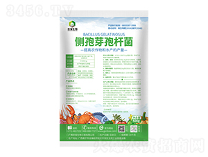 ��(c��)��ѿ�ߗU��-�r(n��ng)������