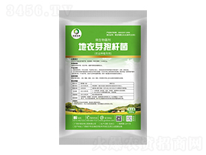 ����ѿ�ߗU��-�r(n��ng)������