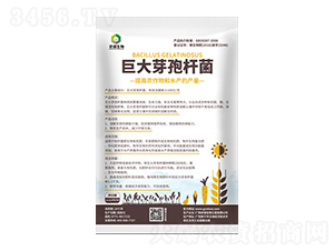 �޴�ѿ�ߗU��-�r(n��ng)������