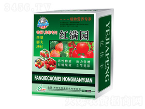 �t�M�@-�|���S